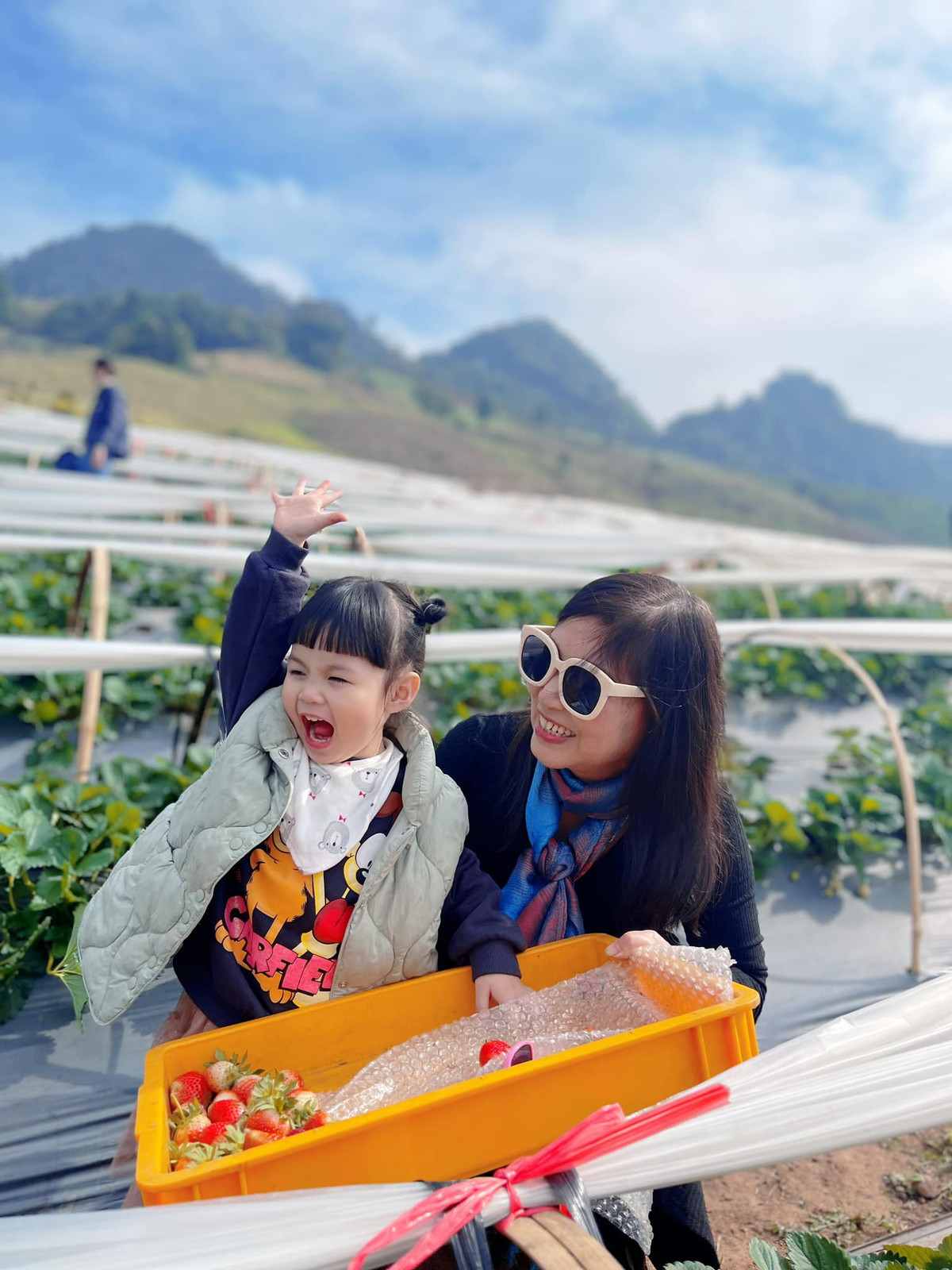 Đến Mộc Châu, bạn có thể chiêm ngưỡng những đồi chè xanh tít tắp, vi vu trong rừng thông và thưởng thức dâu tây tươi ngon tại Mokkchau Ichigo Farm, Sò Lườn, Mộc Châu. Không khí ở đây quanh năm mát mẻ, đẹp và thơ mộng không kém gì Sa Pa. mỗi góc nhỏ đều là có thể giúp cho các tín đồ "sống ảo" chụp những bức ảnh tuyệt đẹp.