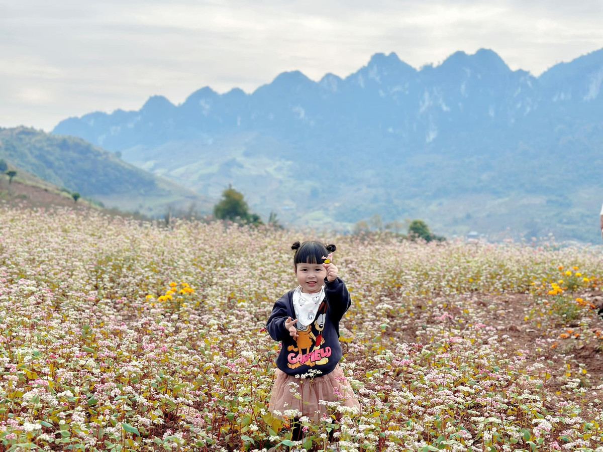 Phong cảnh đẹp như ở chốn thiên đường làm du khách mê mẩn khi đặt chân đến cao nguyên yên bình này.
