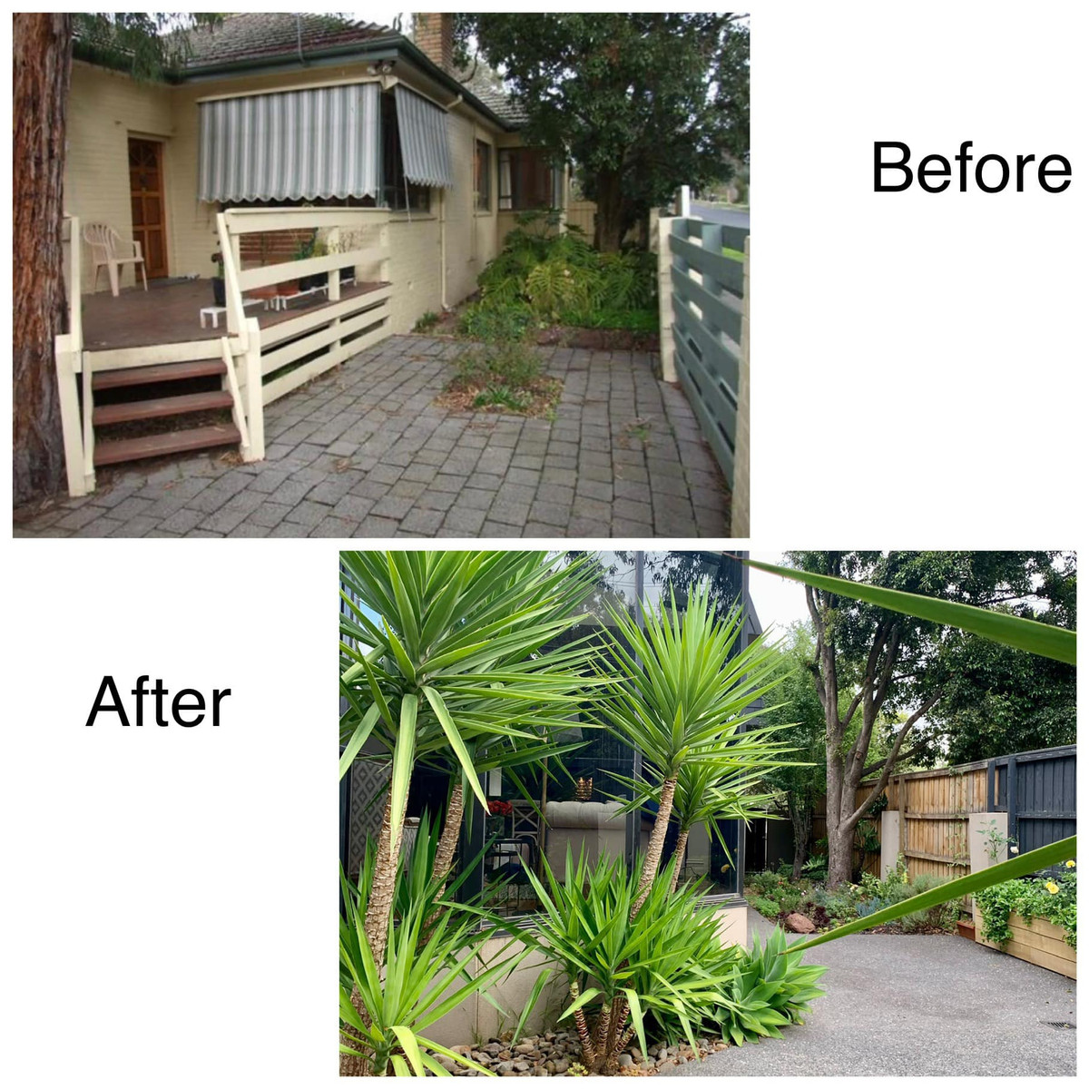 Phòng khách mái kính ngập tràn nắng của người phụ nữ Việt ở Úc - Hình 17 Phong khach mai kinh ngap tran nang cua nguoi phu nu Viet o Uc-Hinh-17