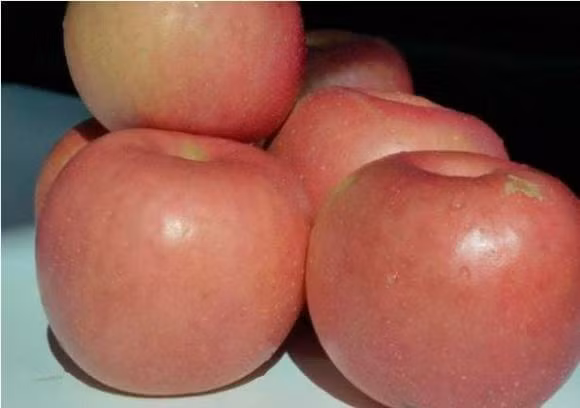 4 bi quyet chon tao ngot