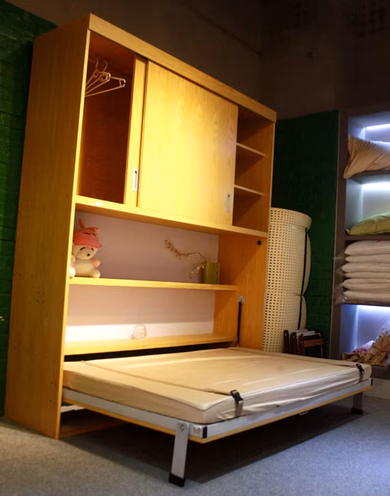 Đây cũng là một loại giường tích hợp với tủ quần áo, giá sách