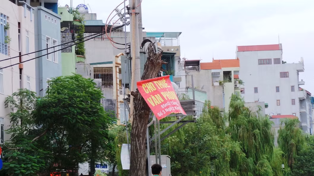 Dân làm quảng cáo còn không "tha" cả những thân cây đã chết khô từ bao giờ