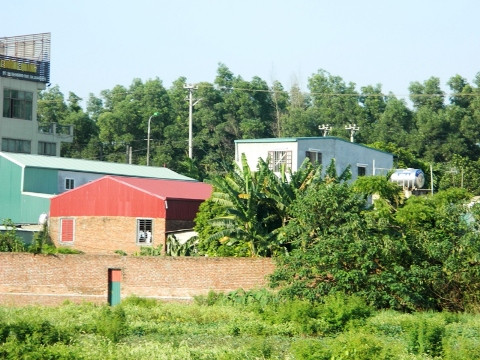 Khu đất nông nghiệp bị "xẻ thịt" của gia đình ông Sơn.