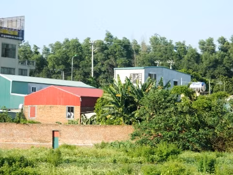 Khu đất nông nghiệp bị "xẻ thịt" của gia đình ông Sơn.