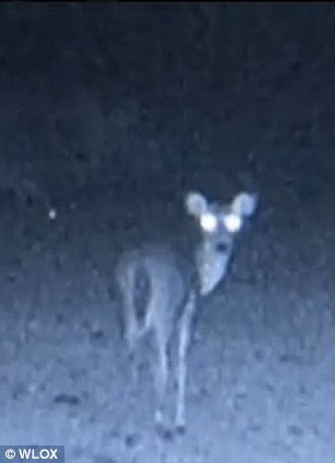 Những cảnh quay vừa được công bố đã khiến nhiều tín đồ UFO rúng động, tin rằng chiếc tàu UFO bí ẩn xuất hiện. Loạt hình bí ẩn xuất hiện trong khoảng 30 phút từ 19h24 đến 19h56 tối ngày 16/2/2014.