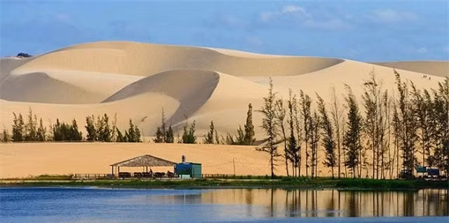 Sa mac lon nhat Viet Nam duoc vi nhu ban thu nho cua Sahara-Hinh-3