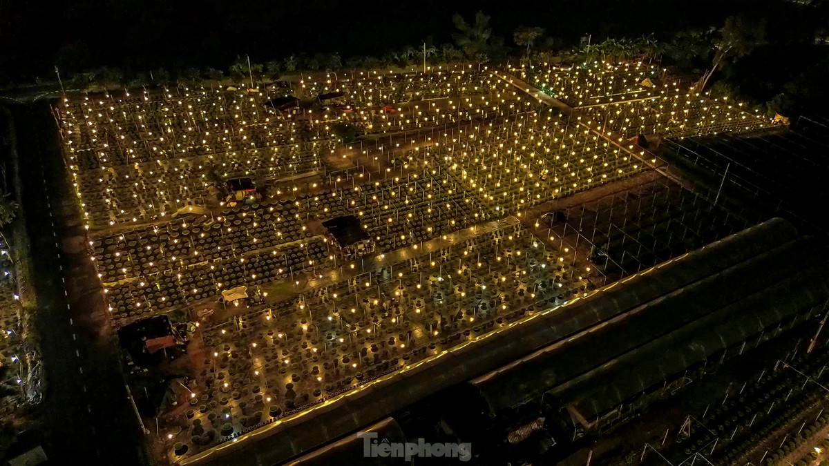 Vào ban đêm, hàng nghìn bóng đèn huỳnh quang loại nhỏ công suất 15-20W được thắp lên làm cả làng hoa Dương Sơn đẹp lung linh, nổi bật trong đêm.