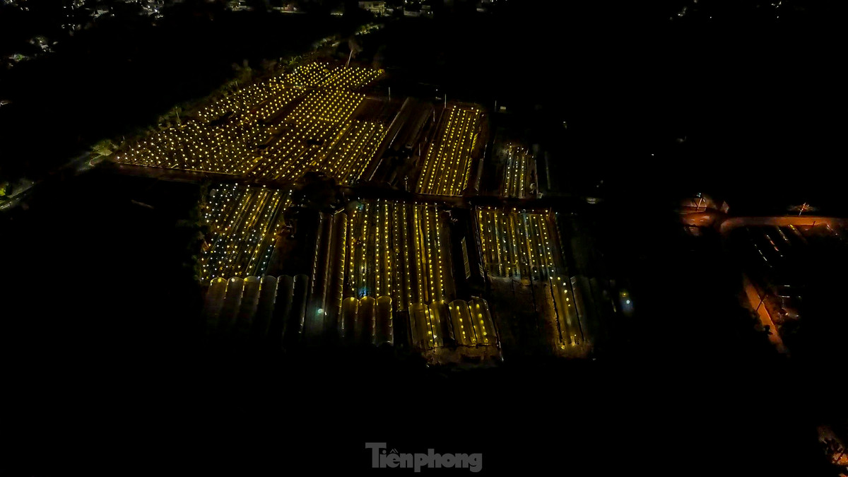 Làng hoa Dương Sơn có diện tích khoảng 4ha, với khoảng 30 hộ trồng đủ các loại hoa như cúc, phong lan, hoa hồng, vạn thọ, hoa dạ yến thảo... Nơi đây được mệnh danh là thủ phủ hoa Tết của thành phố.