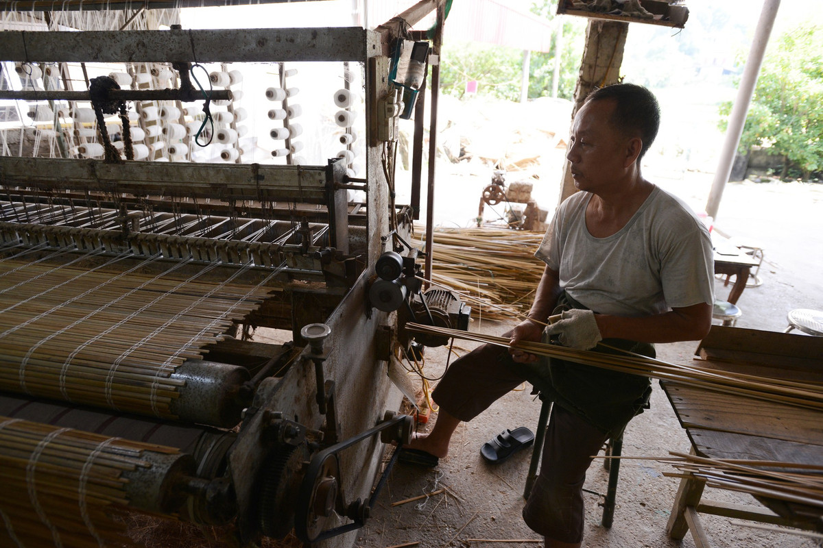 Làm sản phẩm cọ là nghề thủ công. Tuy nhiên đến nay, hầu hết các công đoạn đã được máy móc hoá. Trong ảnh, một người dân Quảng Yên đang làm mành cọ trên hệ thống máy tự động.