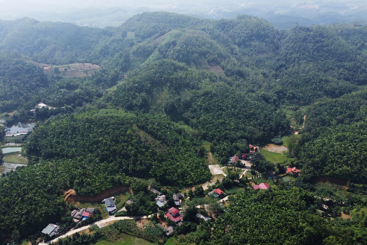 Tuy nhiên, tại xã Quảng Yên (huyện Thanh Ba, Phú Thọ), những rừng cọ, đồi cọ xanh mướt vẫn còn tồn tại, khiến nơi đây được ví như xứ cọ của vùng trung du Bắc bộ.