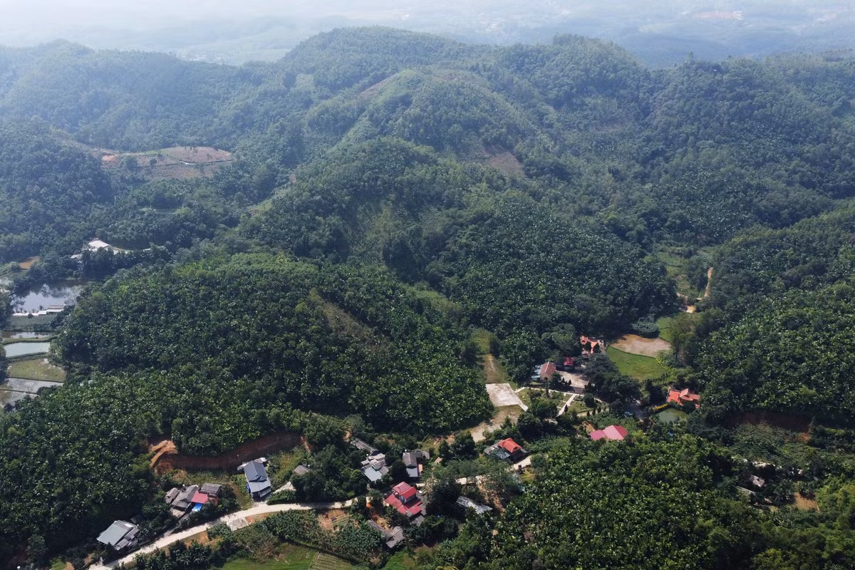 Tuy nhiên, tại xã Quảng Yên (huyện Thanh Ba, Phú Thọ), những rừng cọ, đồi cọ xanh mướt vẫn còn tồn tại, khiến nơi đây được ví như xứ cọ của vùng trung du Bắc bộ.