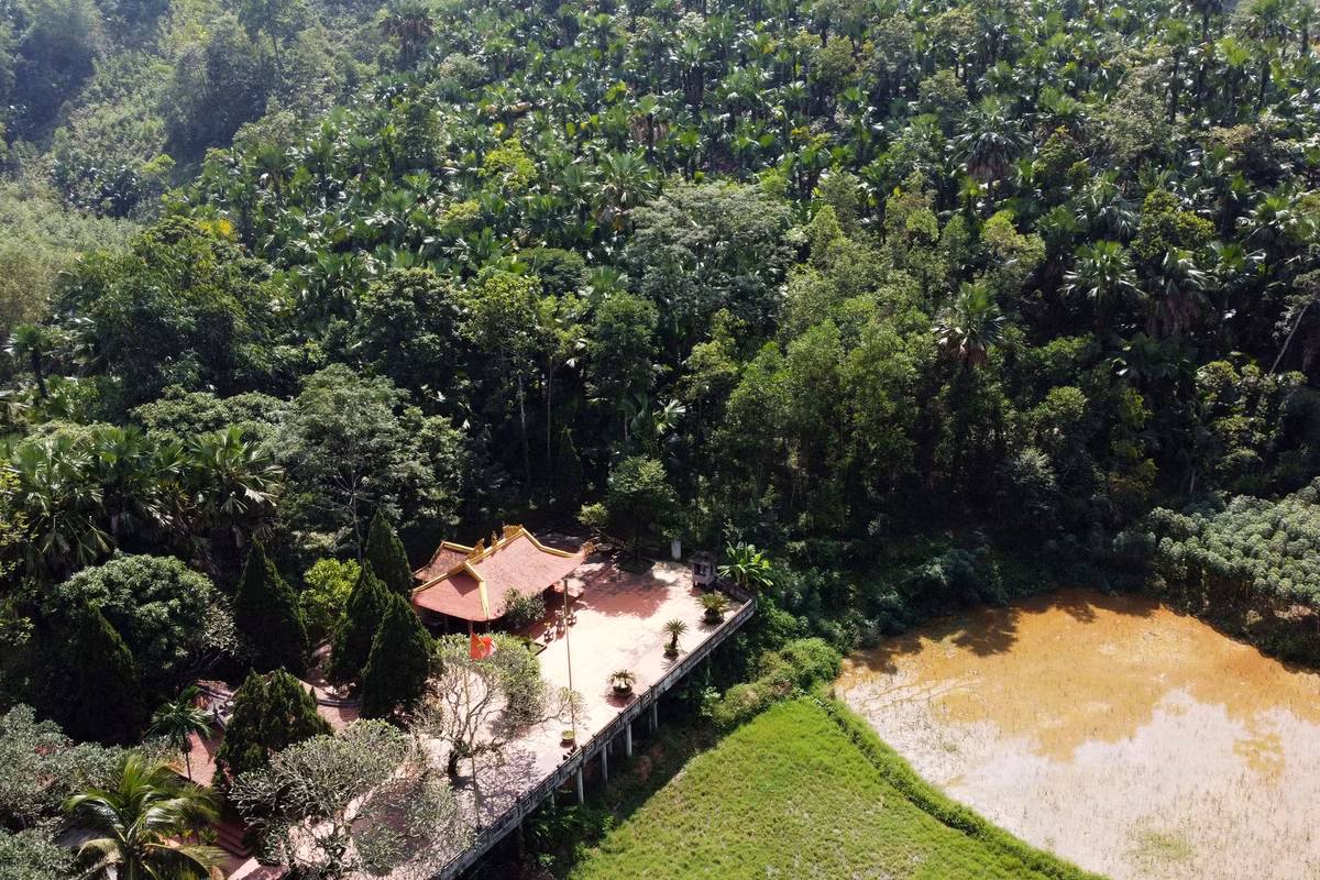 Đền Năng Yên, trung tâm tinh thần của đất Quảng Yên, nằm sát khu rừng cọ được đánh giá là đẹp nhất nơi đây.