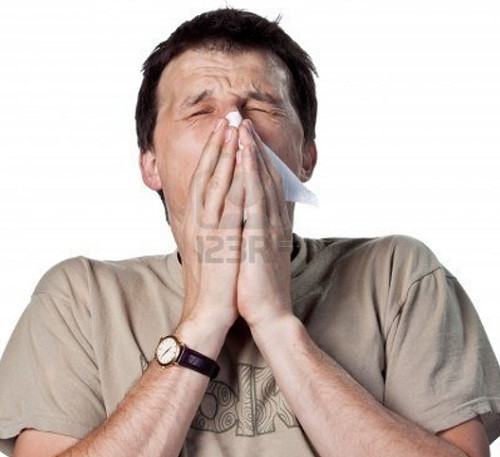 Bốn vị thuốc thương nhĩ tử, bạch chỉ vị, tân di vị và bạc hà phối hợp với nhau trong phương thuốc sẽ có công dụng trị liệu hữu hiệu các bệnh lý viêm nhiễm ở mũi xoang.