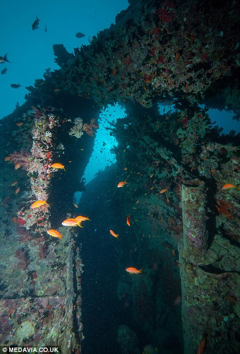 Toàn bộ 44 thành viên thủy thủ đoàn có mặt trên tàu buôn SS Thistlegorm đã tử vong và chìm xuống đáy biển trong ngày định mệnh ấy.