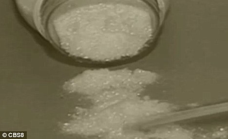 Sau khi giới chức trách Mỹ ra thông báo truy nã y, một số nhân chứng đã nhận ra Vincent đang làm công nhân ở Cancun, Mexico. Mặc dù làm việc với danh tính giả, y thường tự hào về việc bản thân là một trong những tên tội phạm được săn lùng gắt gao nhất, chưa bị bắt giữ. Trong ảnh là số hóa chất mà Vincent mua dùng để điều chế thuốc cấm.