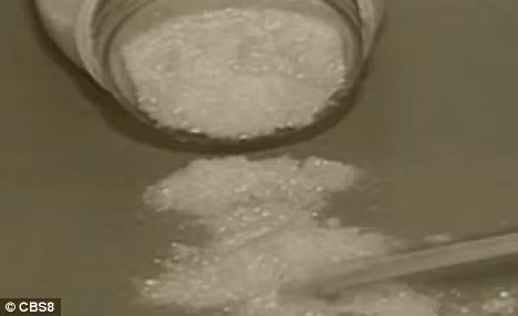 Sau khi giới chức trách Mỹ ra thông báo truy nã y, một số nhân chứng đã nhận ra Vincent đang làm công nhân ở Cancun, Mexico. Mặc dù làm việc với danh tính giả, y thường tự hào về việc bản thân là một trong những tên tội phạm được săn lùng gắt gao nhất, chưa bị bắt giữ. Trong ảnh là số hóa chất mà Vincent mua dùng để điều chế thuốc cấm.