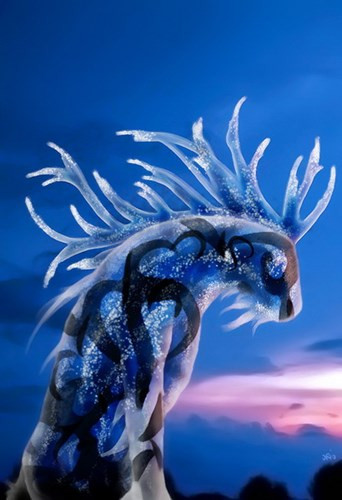 Daidarabotchi là được coi là loài yêu quái khổng lồ nhất trong thần thoại Nhật Bản.