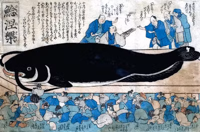 Trong thần thoại Nhật Bản, Namazu có cơ thể khổng lồ. Do vậy, mỗi khi di chuyển, đuôi của nó cũng chuyển động theo, khiến Trái đất rung chuyển dữ dội.