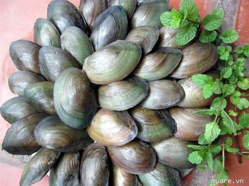 Người ta cũng đồn rằng, Daidarabotchi thích ăn những con trai cỡ lớn và sau đó vứt vỏ của chúng lên trên đồi.