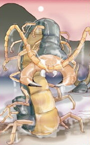 Điều này sẽ khiến nạn nhân rơi vào trạng thái hôn mê, giống như gặp ảo giác. Từ đó, Omukade sẽ đùa giỡn nạn nhân trước khi giết hại họ.