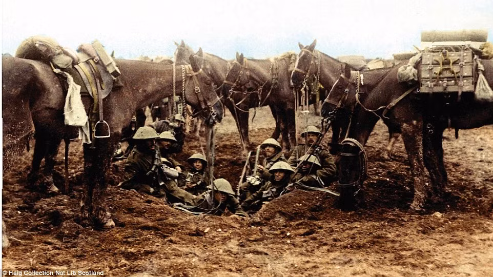 Một nhóm kỵ binh nghỉ ngơi trong một chiếc hố lớn. Trong khi đó, những con ngựa chiến đứng xung quanh như tạo thành một vòng bảo vệ.