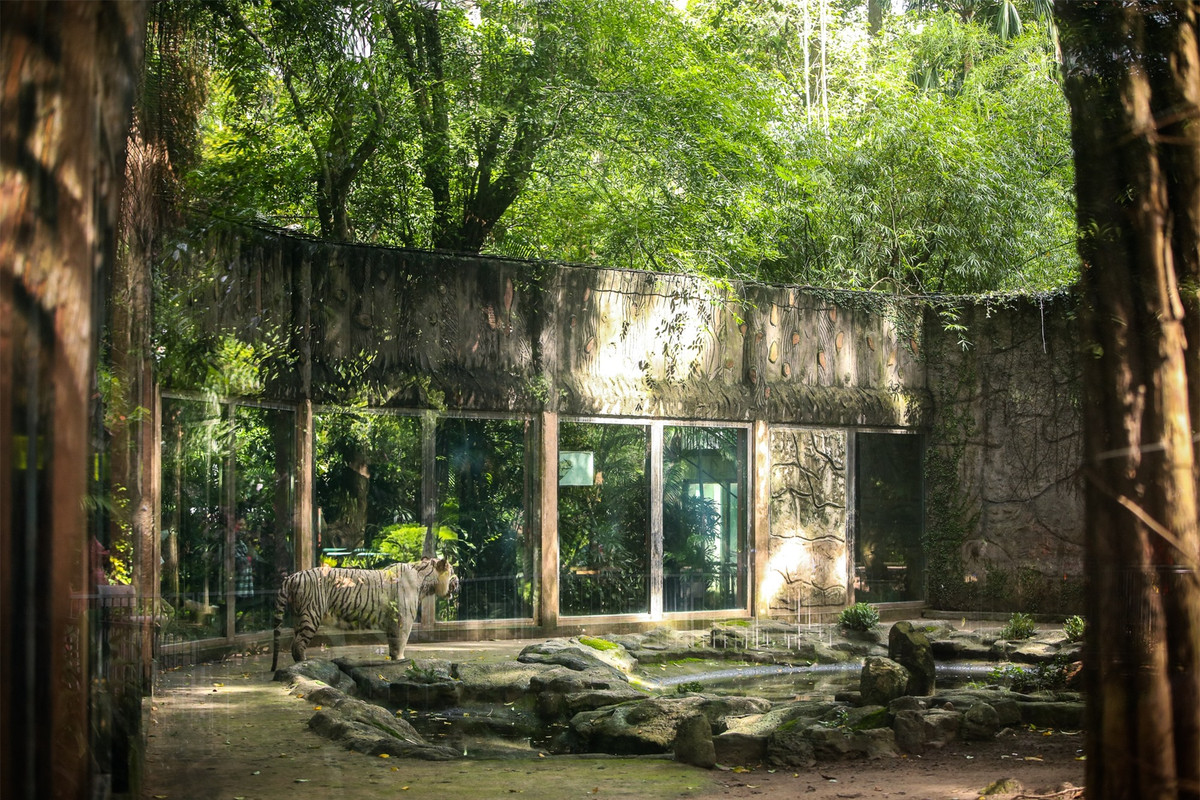  Thảo Cầm Viên Sài Gòn (quận 1) là một trong những công trình lâu đời nhất tại TP. HCM, được xây dựng vào ngày 23/03/1864 với tên gọi đầu tiên là Vườn Bách Thảo. Đây còn là 1 trong 10 vườn thú trên thế giới với bề dày trên 150 tuổi. Tại đây, nhiều thế hệ hổ Đông Dương, sư tử, vượn má vàng, voọc bạc, trĩ sao, công xanh, cá sấu... đã ra đời, tạo nên một hệ sinh thái đa dạng giữa lòng thành phố.