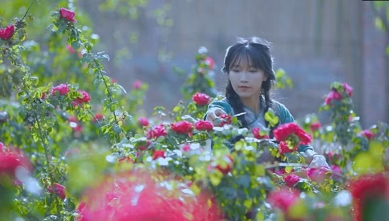 Xuat hien Ly Tu That phien ban nam, lieu ai co the thay the 'tien nu'?