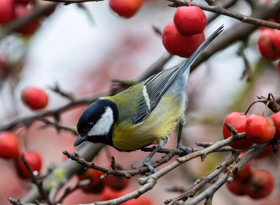 Nguoi sinh vao 3 thang Am lich nay gioi kiem tien, nam nay dat dinh