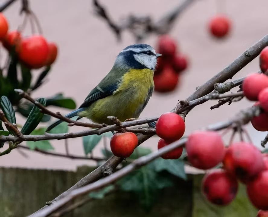 Nguoi sinh vao 3 thang Am lich nay gioi kiem tien, nam nay dat dinh-Hinh-2