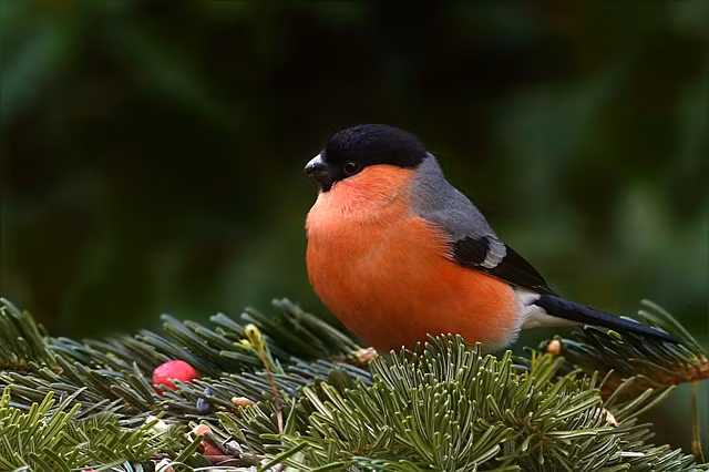 Nua cuoi nam 2022, 3 con giap thich hop ket hon, tien tai vien man-Hinh-3