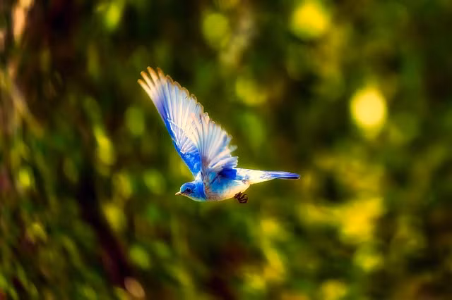 Nua cuoi nam 2022, 3 con giap thich hop ket hon, tien tai vien man