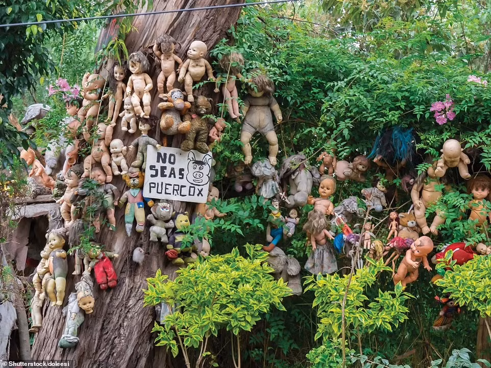 6. La Isla De Las Munecas, Mexico: Đây là một hòn đảo nhân tạo xây dựng gần Laguna de Teshuilo, Mexico, nơi được mệnh danh là "hòn đảo của những con búp bê". Bắt đầu từ năm 1950, hàng nghìn con búp bê đã được chủ nhân hòn đảo - Julian Santana Barrera, treo lên cây để xua đuổi linh hồn một cô bé qua đời gần đó.