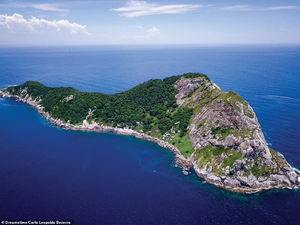 4. Ilha Da Queimada Grande, Brazil: Nơi đây còn được gọi là đảo rắn, địa điểm nổi tiếng và không có người ở từ năm 1920. Trước đó, những người dân định cư trên đảo đã nỗ lực tạo ra một đồn điền trồng chuối nhưng không thành công. Du khách cũng ít người dám tới thăm hòn đảo, bởi có quá nhiều rắn viper lưỡi vàng kịch độc.