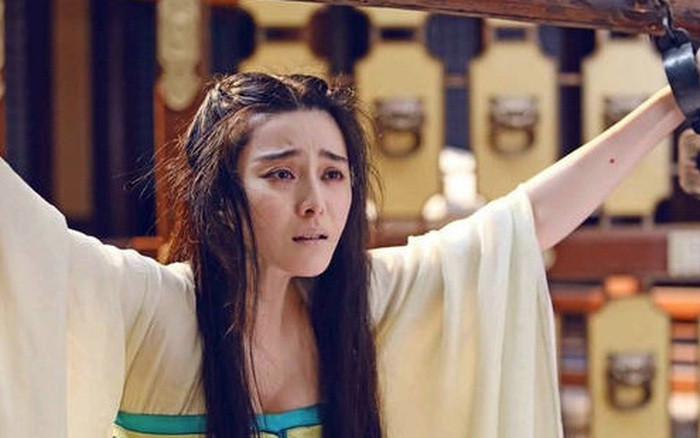 Bộ luật sớm nhất thời cổ đại được sản xuất vào thời nhà Hạ, được gọi là "Vũ hình" , bởi vì quốc vương sáng lập ra nhà Hạ mang họ Vũ, nên nó được đặt theo tên của ông.