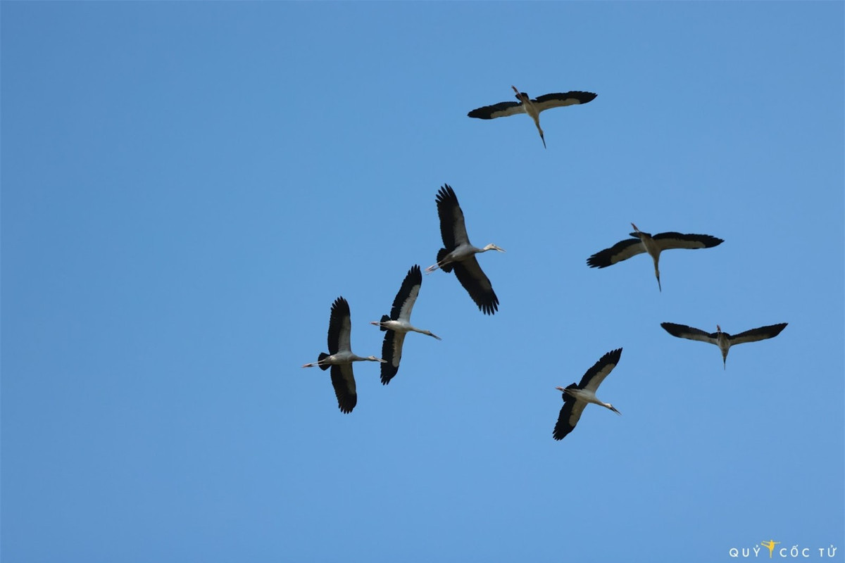 Trang dem “san” anh co nhan quy hiem o VQG Lo Go – Xa Mat-Hinh-6