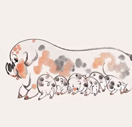 Nhìn chung tài vận của người tuổi Hợi sẽ được cải thiện đáng kể, tài lộc dồi dào, thịnh vượng! 