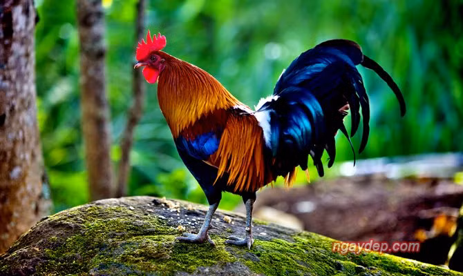 Than Tai bao mong giau sang: 4 tuoi thang 8 trung so cuoi nam tau nha-Hinh-2