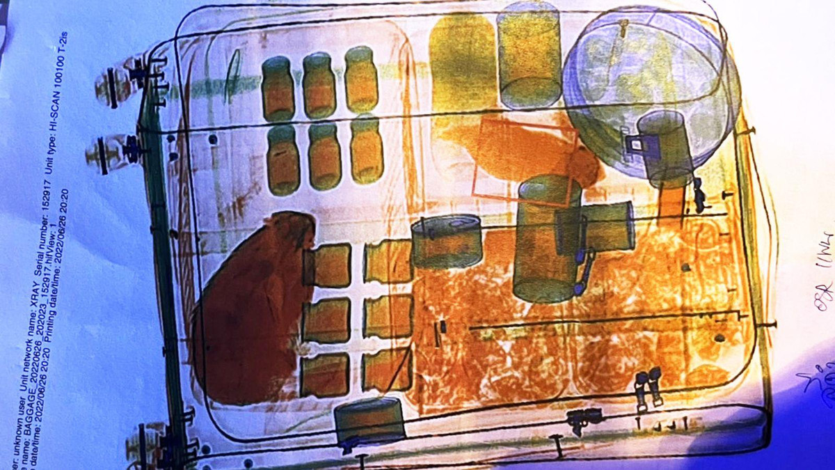 Bí mật gây sốc trong vali của hai phụ nữ buôn lậu động vật hoang dã Bi mat gay soc trong vali cua hai phu nu buon lau dong vat hoang da