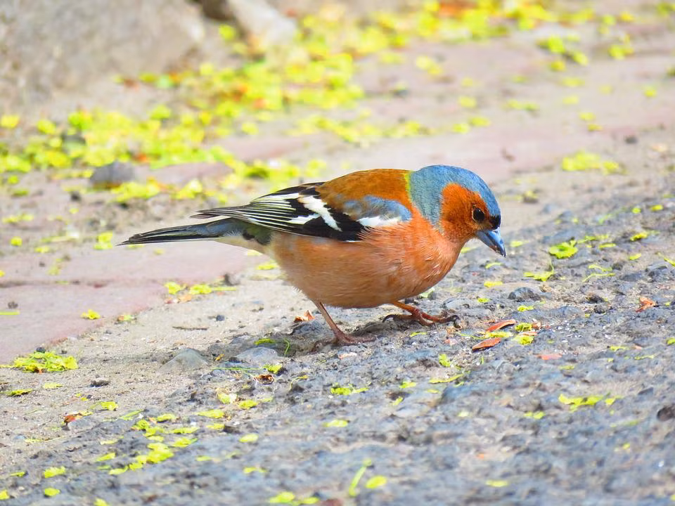 Quy co sinh thang Am lich nay nhan hau, ca doi giau phuc bau