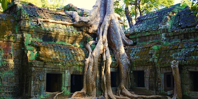  Angkor Wat, Siem Reap, Campuchia: Đây là một trong những thành phố cổ nổi tiếng nhất của Đông Nam Á. Thời kỳ hoàng kim của đế chế Khmer là vào thế kỷ 13. Ở trung tâm của đế chế Khmer là Angkor Wat vẫn còn tồn tại một cách tuyệt diệu cho đến ngày nay và là một kỳ quan đáng được chiêm ngưỡng.