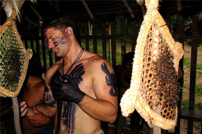 Những chàng trai cho hai tay vào găng tay 10 phút để những con kiến đạn tấn công.