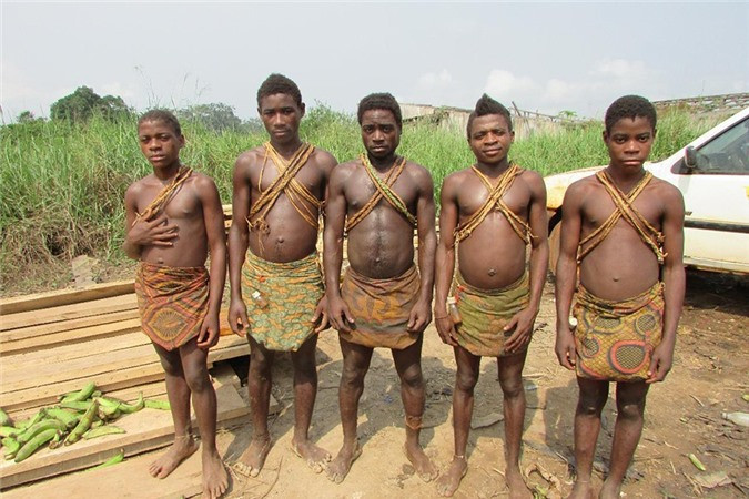 Người Pygmy là tộc người nhỏ bé nhất thế giới, với chiều cao từ 1,2 - 1,4m, cân nặng không quá 50kg.