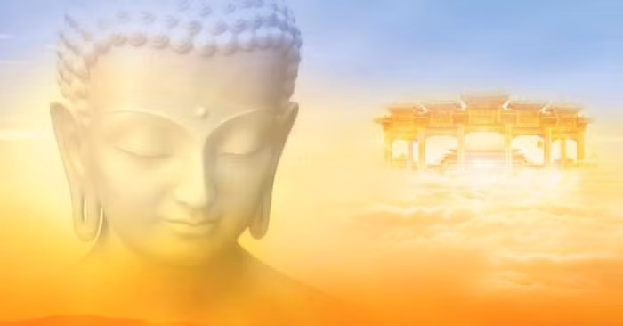 Phat day: Cuoc song co 5 “du vi”, day la “du vi” dang quy nhat