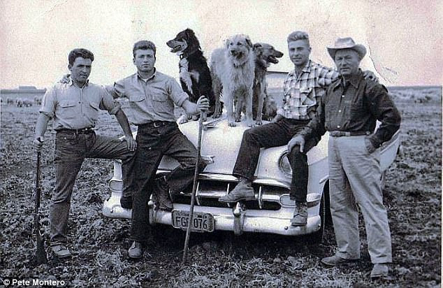 Chỉ là đi chăn gia súc thôi mà, các bố có cần phải "cool ngầu" thế không!?