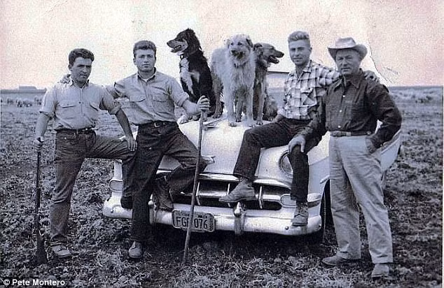 Chỉ là đi chăn gia súc thôi mà, các bố có cần phải "cool ngầu" thế không!?