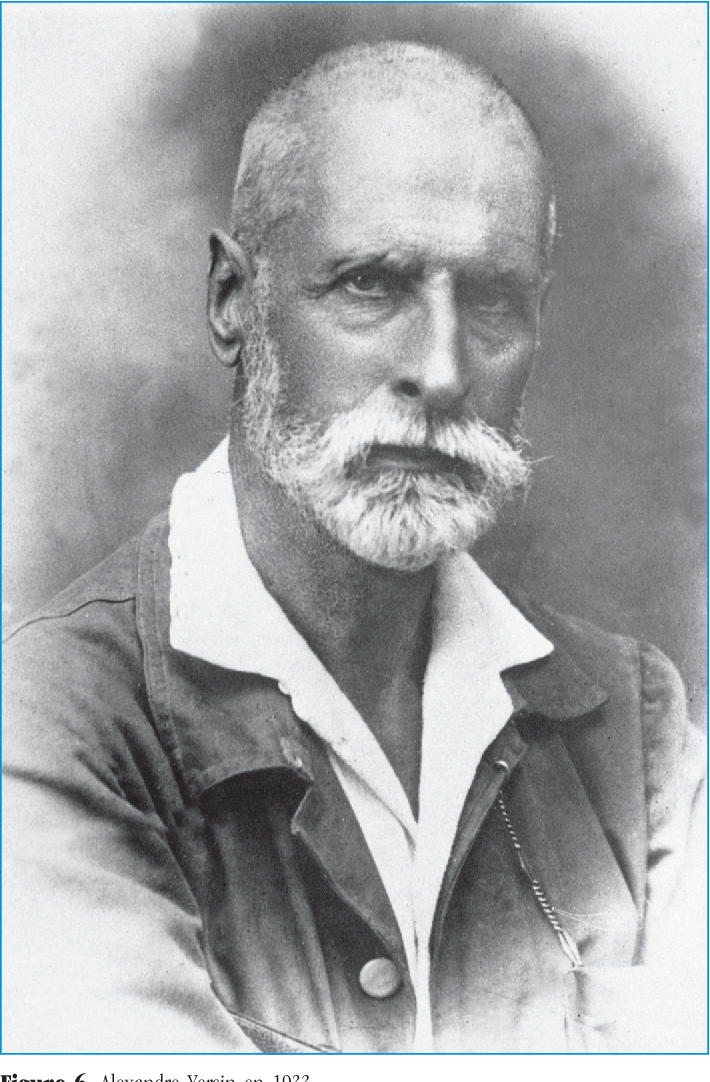 Sự ra đời của Bệnh viện Việt Đức gắn liền với đề xuất của Yersin về một bệnh viện thay thế cho Bệnh viện thực hành của Trường Y Đông Dương. Đó là Bệnh viện Bảo hộ (Hôpital Indigène du Protectorat) được thành lập vào ngày 25/3/1904.