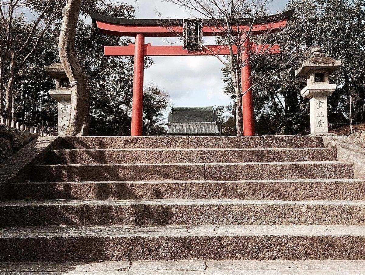 Cấu trúc cơ bản của cổng Torii gồm hai cột thẳng đứng và hai thanh ngang đóng sát nhau ở trên đỉnh, thanh trên cùng có thể có dạng như mái che. Công trình này thường được sơn màu đỏ son.