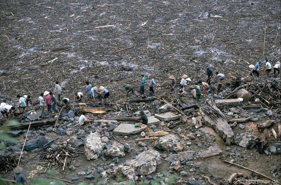 Cảnh người dân thu nhặt gỗ trôi dạt cạnh chân đập thủy điện Hòa Bình năm 1991. Lượng gỗ phủ kín một diện tích mặt nước rất lớn.