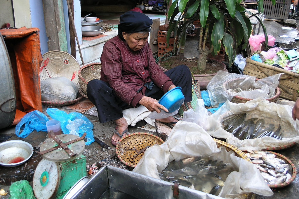 Cụ bà tất bật với quầy hàng cá của mình. Ảnh: Manfred Sommer / Flickr.