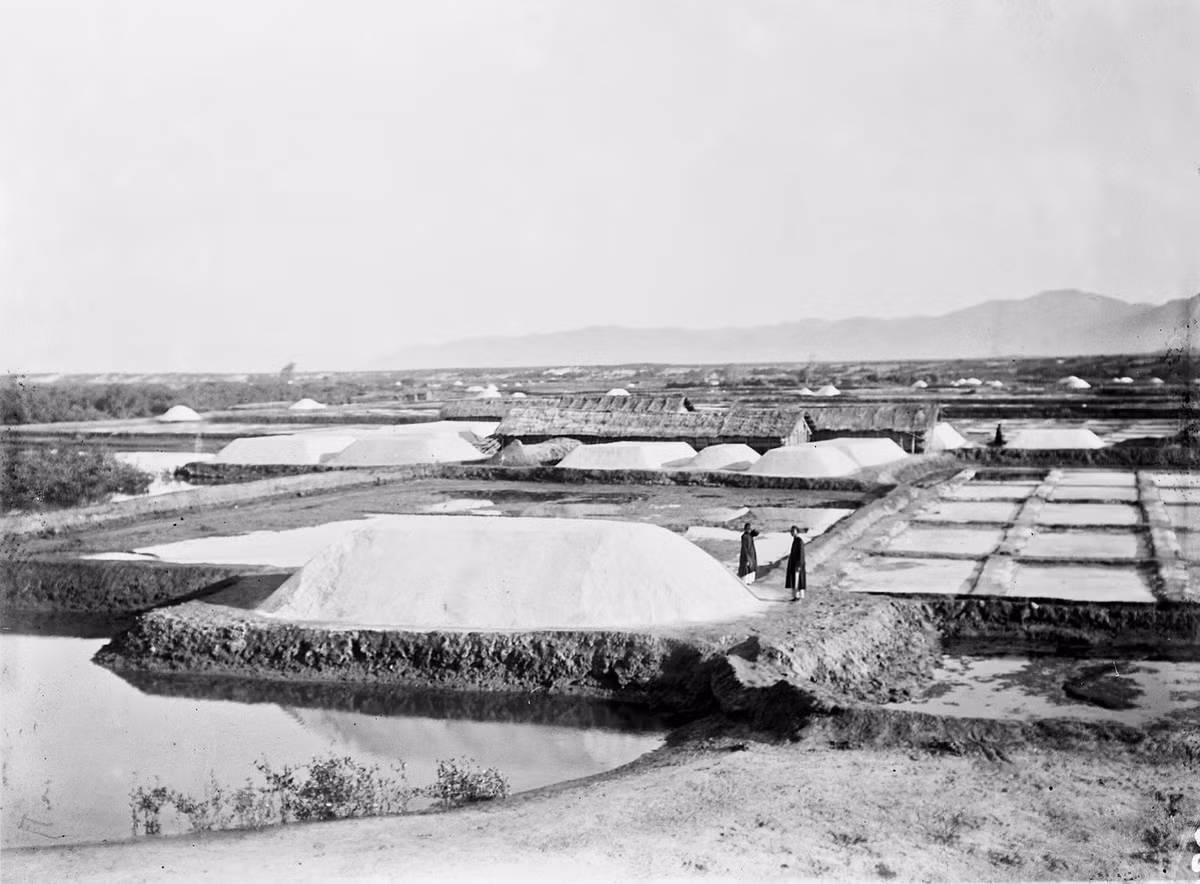 Ruộng muối gần Phan Rí, nhìn từ đường Cái quan.